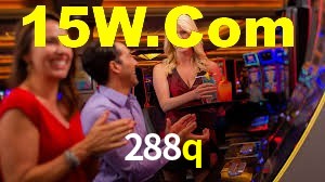 288q,288q.com