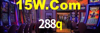 Programa VIP 288q