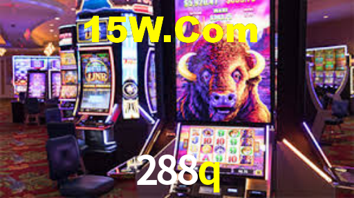 288q.com